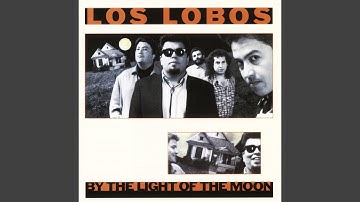 Thumbnail of River of Fools