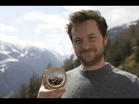 Video till Jakten på det bästa kaffet