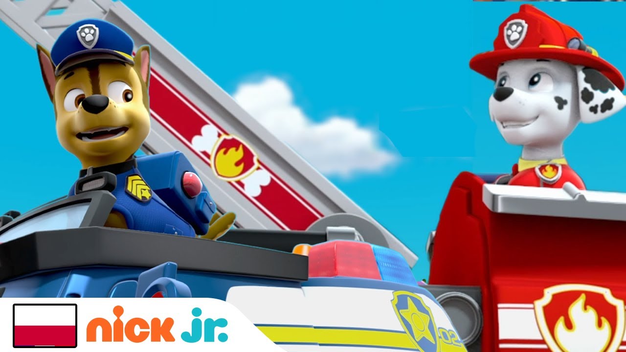 Psi Patrol | Pieski ratują sytuację! 20-minutowa kompilacja | Nick Jr.