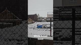 First snowfall in Edinburgh this winter.  2/1 odds for a white Xmas #snowing #christmas #snow