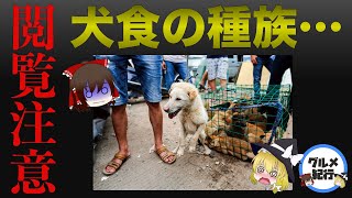 【ゆっくり解説】犬食い文化のヤバい種族ついて 韓国と中国の食文化の歴史