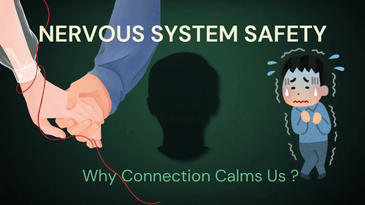 Why human connections calm us ?