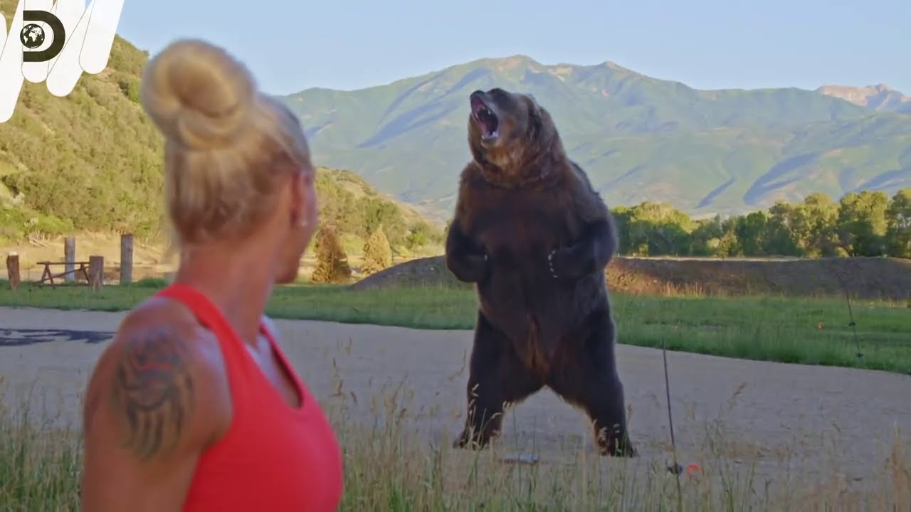 クマvs人間】Man vs. Bear | 新記録樹立へ【強いのはどっちだ】 - YouTube