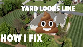 Lawn looks like CRAP how I FIX it