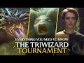 The Triwizard Tournament Explained | Harry Potter and the Goblet of Fire