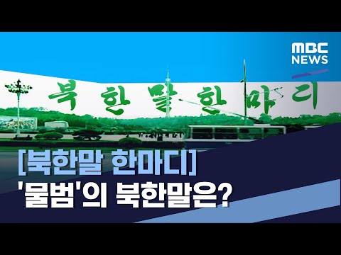 [북한말 한마디] '물범'의 북한말은? (2023.01.21/통일전망대/MBC)