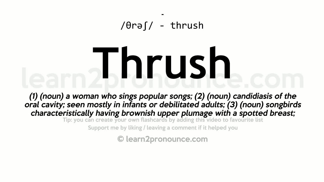 Thrush pronunciation and definition YouTube