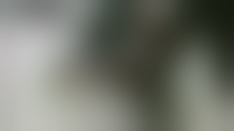 Jarome Iginla vs Lyle Odelein