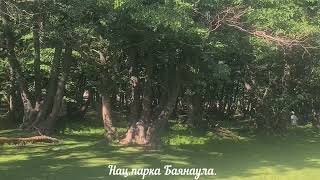 Турбаза " Баянаул " проводит экскурсии по самым красивым местам Нац.парка Баянаула.