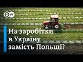 Заробітчани: на сезонні роботи в Україну замість Польщі? | DW Ukrainian