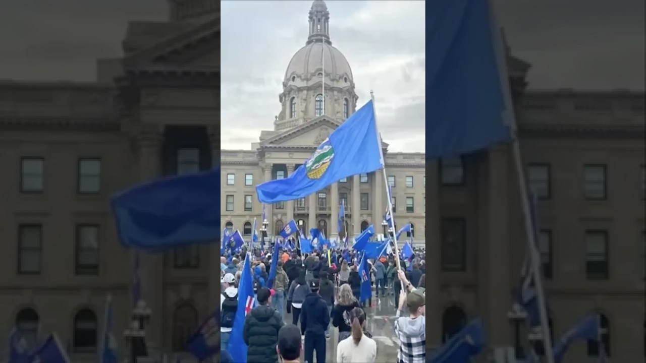 Насколько серьезен развод в Альберте?