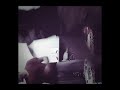 مهرجان الكلاب