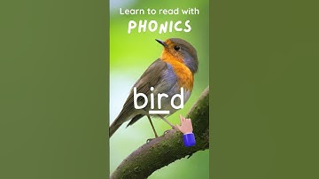 Bird  #phonics #english