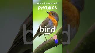 Bird  #phonics #english