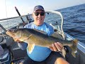 NCOR Whopper Tuesday. Big Fish and Big Wind