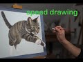 Jumping Cat 3D Painting /Speed Drawing short version