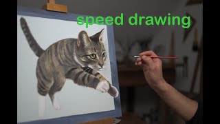 Jumping Cat 3D Painting /Speed Drawing short version