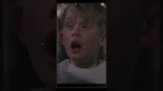 Pov Polars Bears In 2026