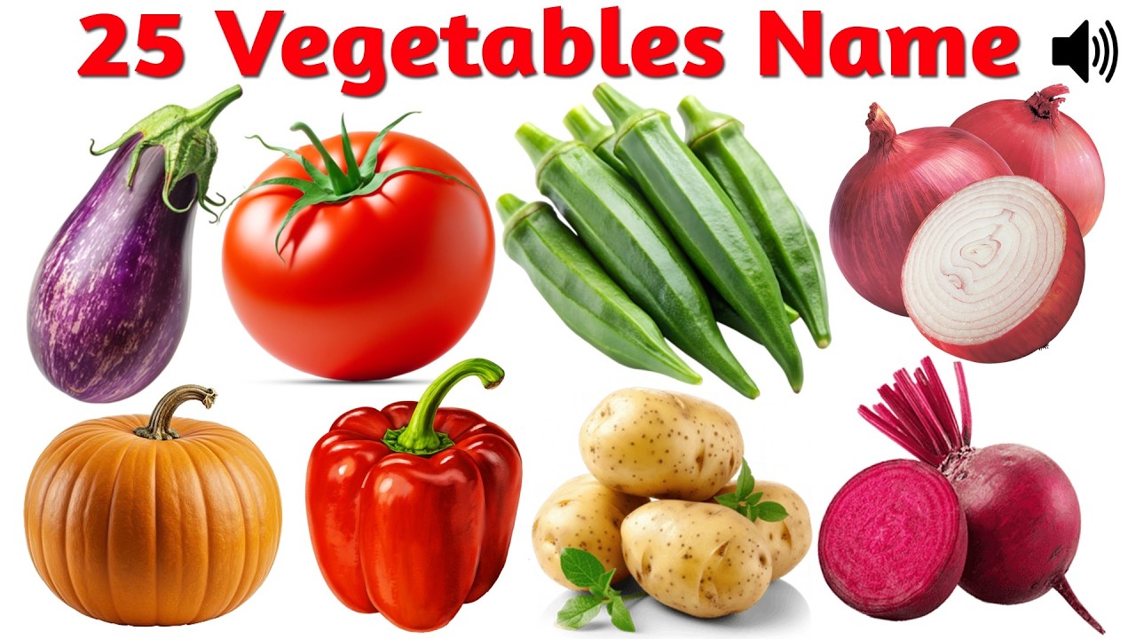 25 Vegetables Name in English and Hindi | Kids Vocabulary | Preschool, LKG, UKG Learning