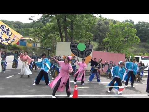 2015 Mランド　よさこい連～忍び～withあとう桜舞　1