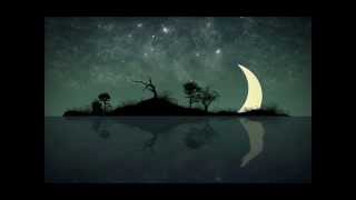ASTRAL JAZZ Floating Forms