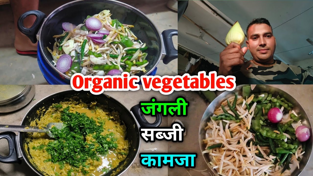 Foji life style vlog natural vlog travelling vlog daily vlog motivational vlog village life vlog