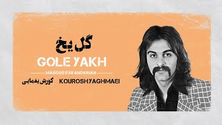 Karaoke Farsi : Gole Yakh Kourosh Yaghmaei| کارائوکه فارسی : گل یخ کورش یغمایی