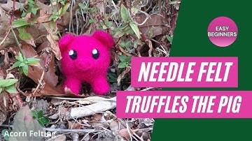 How To Needle Felt A Pig