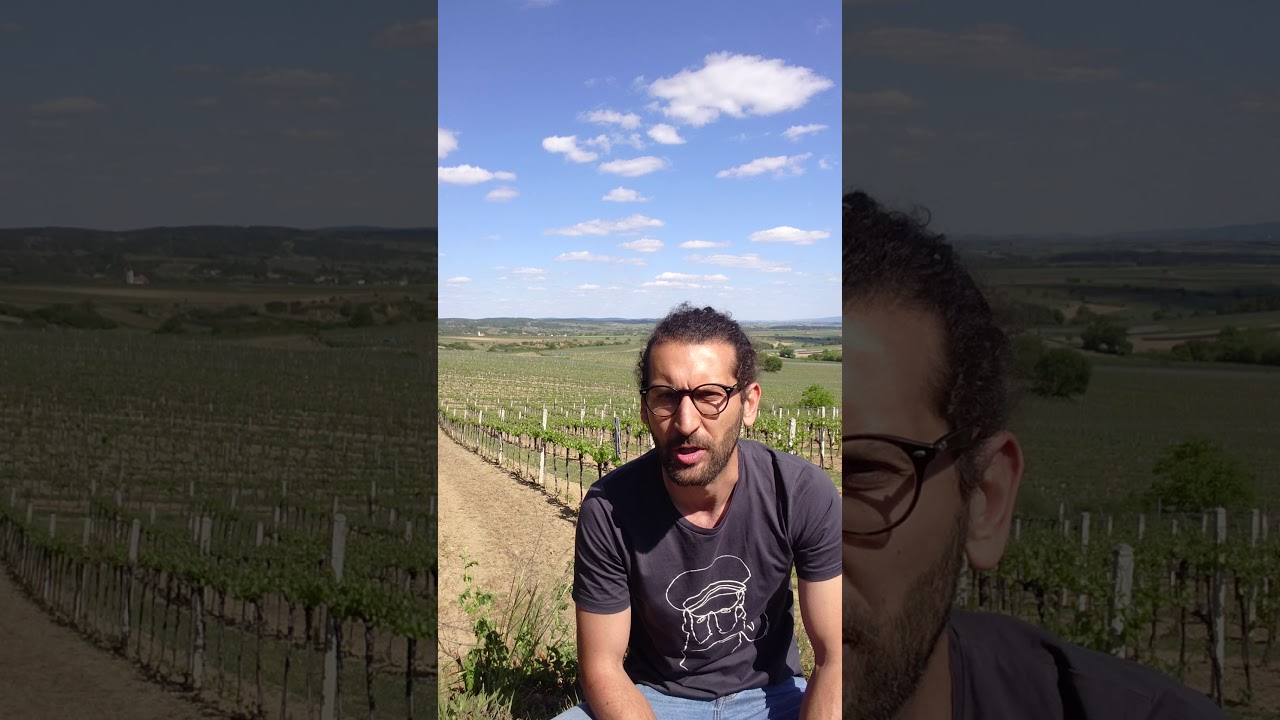 Meet The Winemaker - Martin Diwald