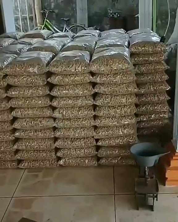 Grosir Kacang Asin Oven Dan Kacang Sangrai Langsung produsen