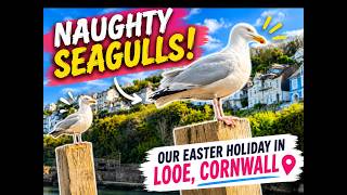 Ali's Vlog 4 - Our Easter Holiday in Looe, Cornwall - England, UK Holiday