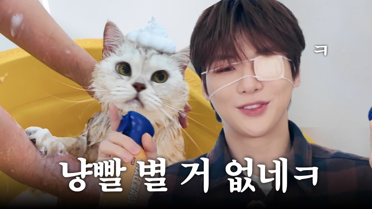 냥빨 별 거 아닌데...? | 강다니엘 x 페스룸 ep.2