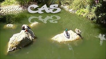 C4D compilation (recent tests) HD