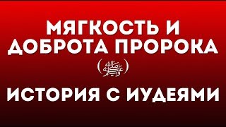 Мягкость и доброта Пророка ﷺ ¦ История с иудеями