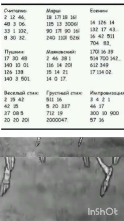 Математические Стихи - YouTube