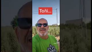 Que paséis un buen Domingo 