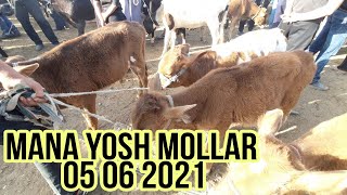 05 06 2021 #YOSH_MOLAR_JUMA_MOL_BOZORI