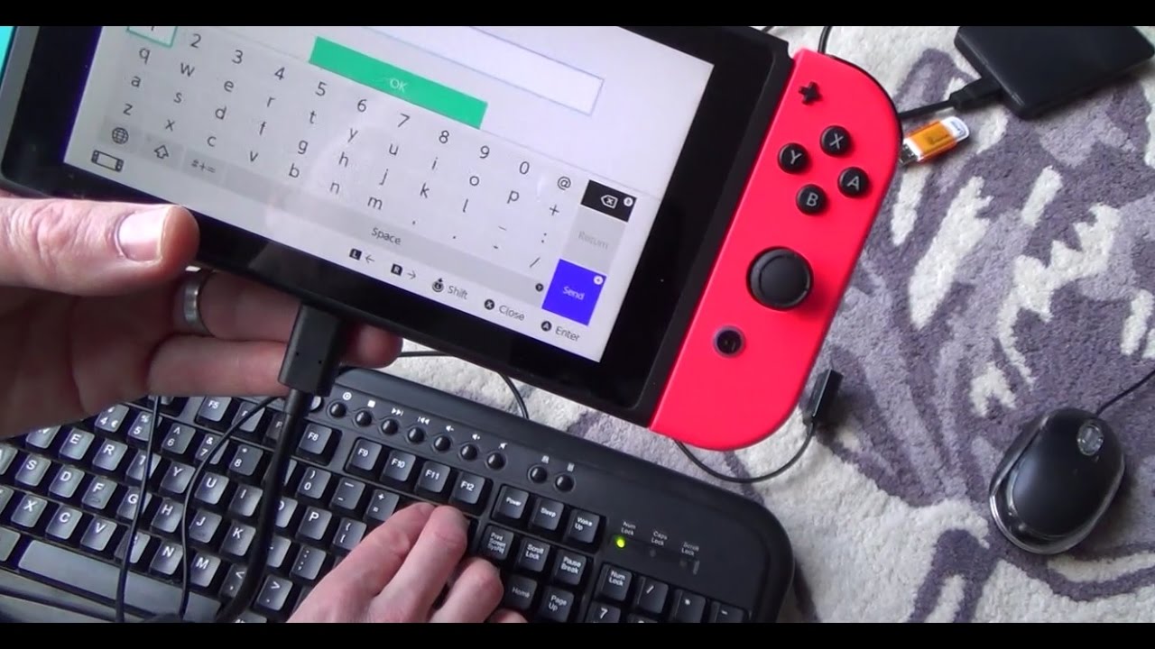 How To Connect Keyboards Etc To The Nintendo Switch By Using A Usb C Otg Cable Youtube