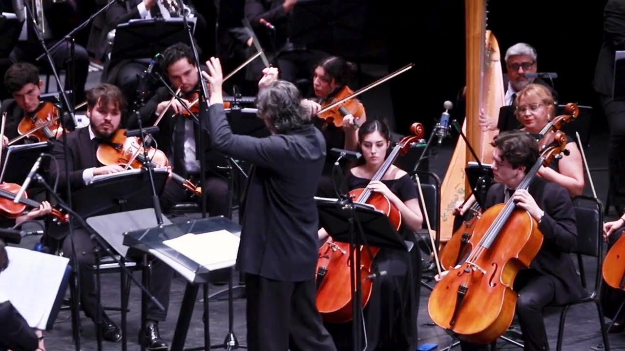 Canis: Manjares en la basura