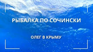 ЖИЗНЬ В СОЧИ 2024  | КАК МЫ С ДОЧЕЙ АКУЛУ ЛОВИТЬ ПОШЛИ🤣 #сочи #крым #олегвкрыму #рыбалка