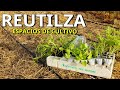 🆕️ Da VIDA a zonas que ya has CULTIVADO en tu HUERTO... 👉 CREA nuevos ESPACIOS donde CULTIVAR