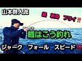 【ジギング】タラジギングの基礎～キモまで！！簡単解説【山本啓人理論】