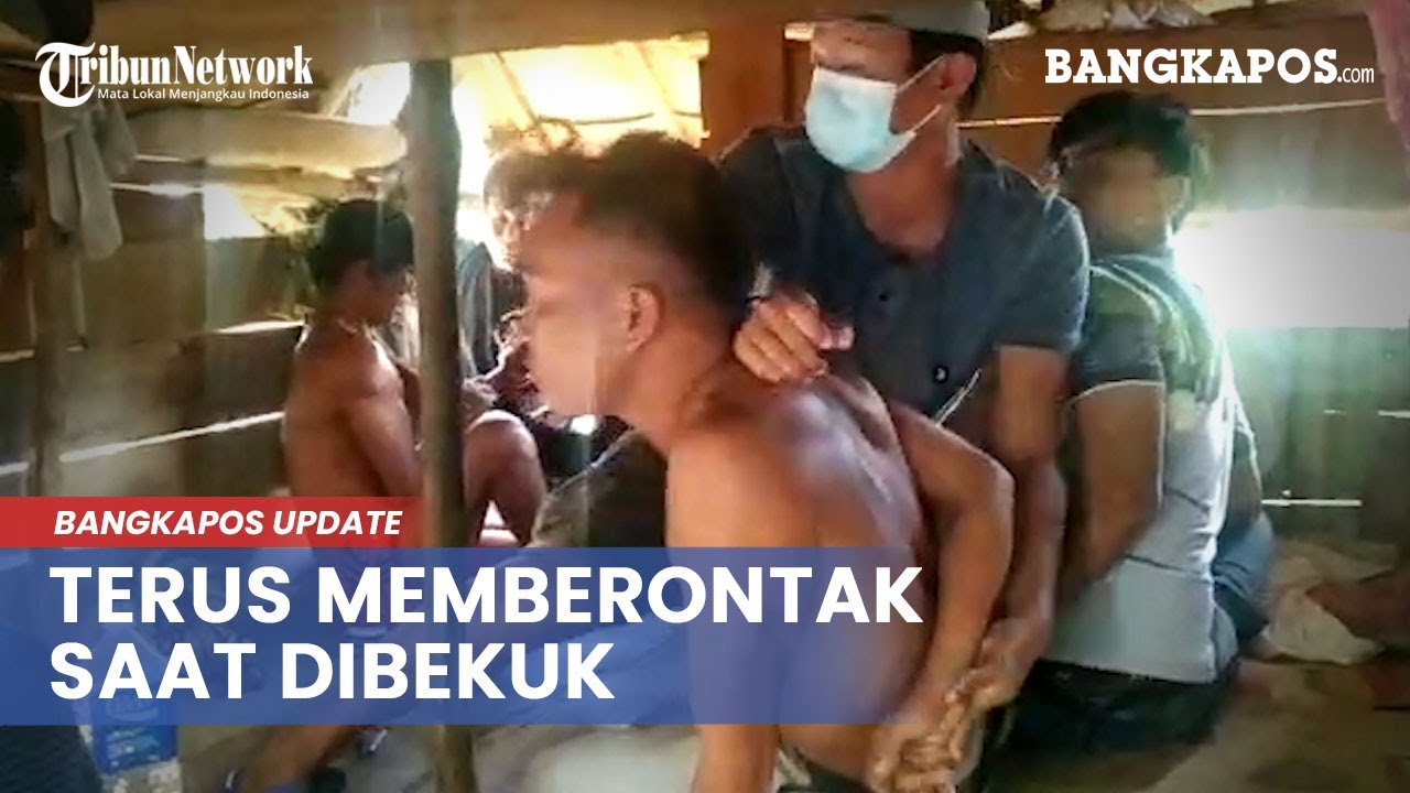 Detik-detik Penangkapan Pelaku Utama Pembunuhan di Mendobarat, Tidur di Pondok Kebun