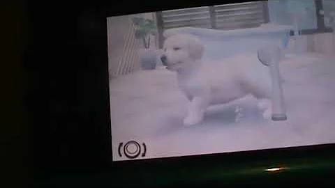 Nintendogs 3DS game review