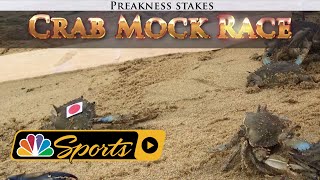 Crabs predict the 2018 Preakness Stakes winner I NBC Sports