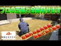【芝張り】芝生に一切負担を与えない完璧な施工を目指しています!