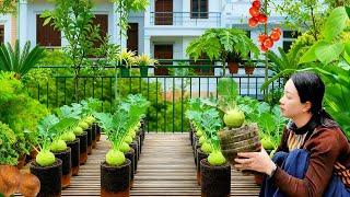 Don’t Throw Away Coconut Shells and Bottles - A Genius Way to Grow Vegetables!