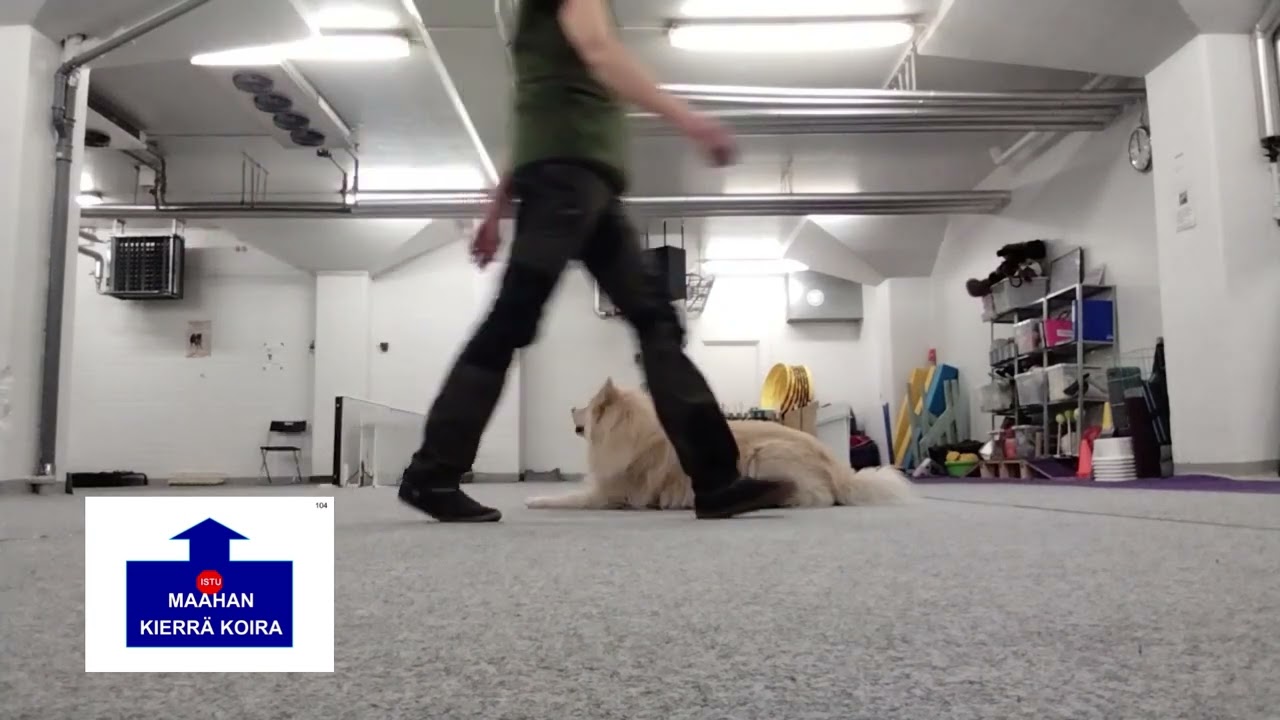 Rally toko 2026  ALO osa1.  101-112