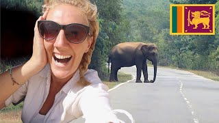 ELEPHANT ROAD and WILD CAMPING in Gal Oya, SRI LANKA