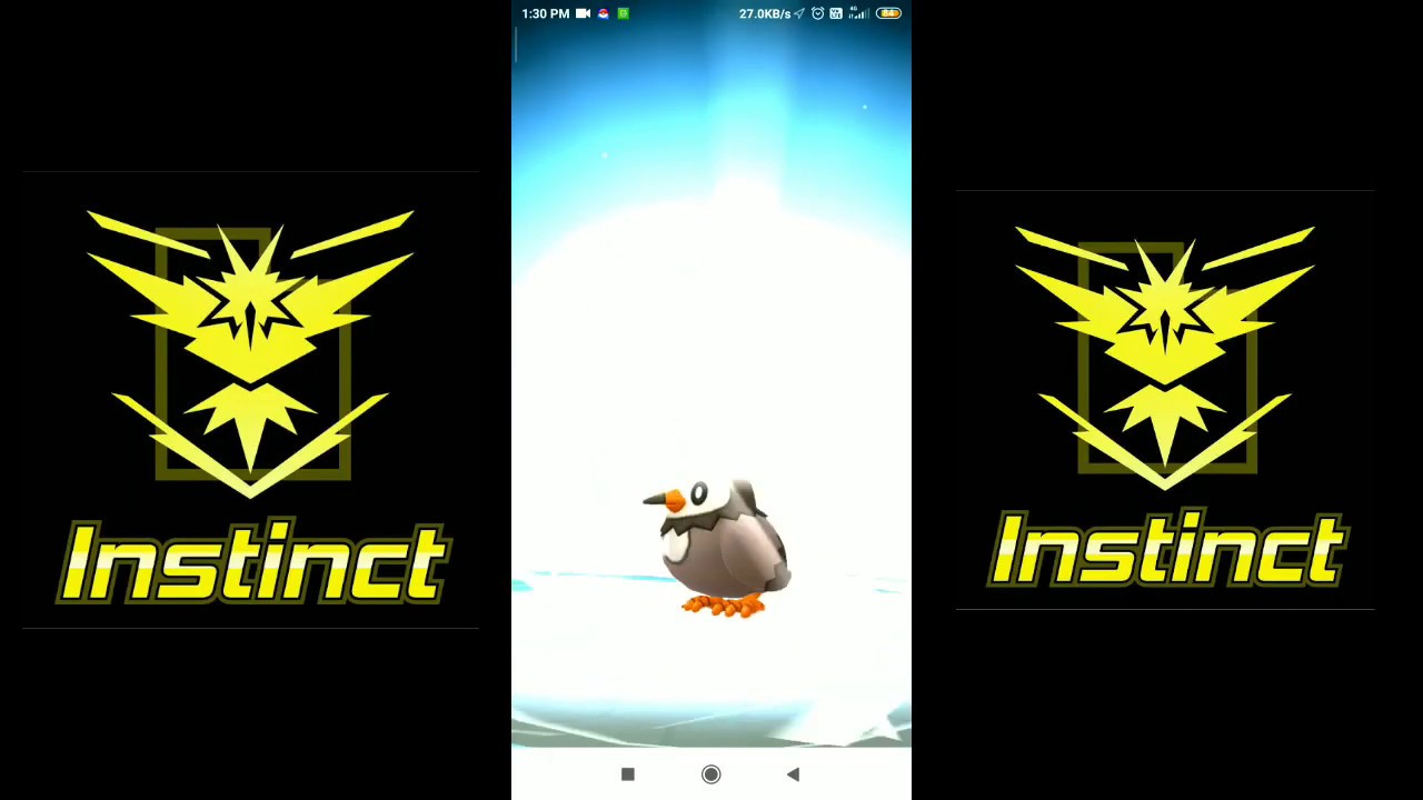 A Che Livello Si Evolve Starly